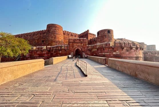 Taj Mahal & Agra Fort Tour - Agra Fort Agra