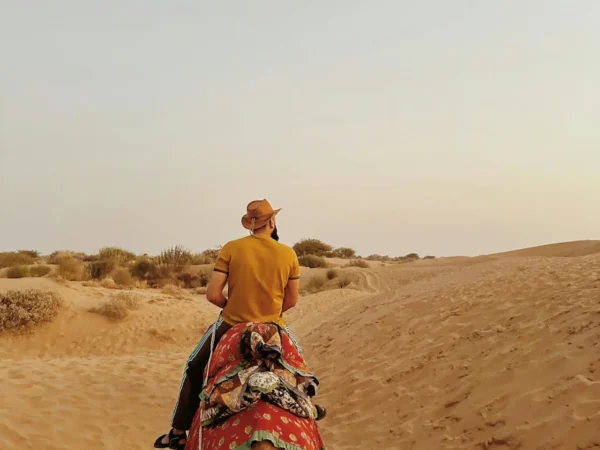 15-Day Luxury Rajasthan Tour – Imperial Forts, Palaces & Desert