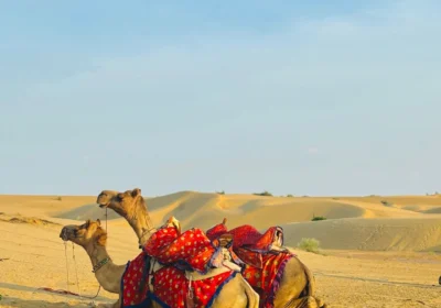 16-Day Rajasthan Grand Tour – Jaipur, Jodhpur, Jaisalmer & Udaipur