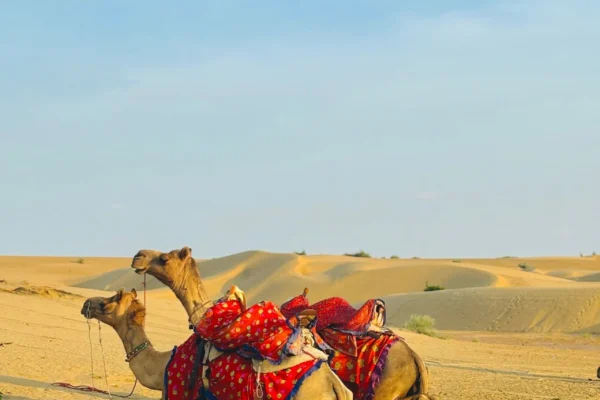 16-Day Rajasthan Grand Tour – Jaipur, Jodhpur, Jaisalmer & Udaipur