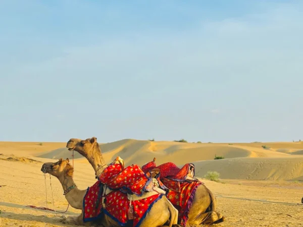 16-Day Rajasthan Grand Tour – Jaipur, Jodhpur, Jaisalmer & Udaipur