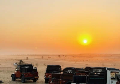 5 Day Rajasthan Desert Safari Tour from Jaipur – Jaisalmer & Thar