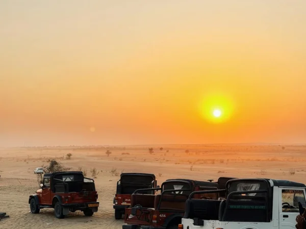 5 Day Rajasthan Desert Safari Tour from Jaipur – Jaisalmer & Thar