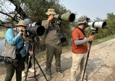 6 Day Golden Triangle Tour with Ranthambore Tiger Safari