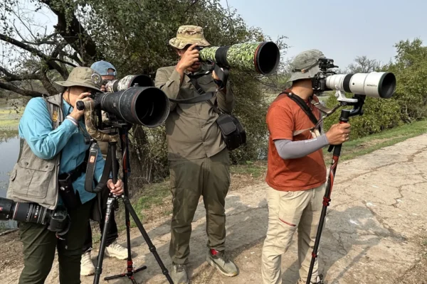 6 Day Golden Triangle Tour with Ranthambore Tiger Safari
