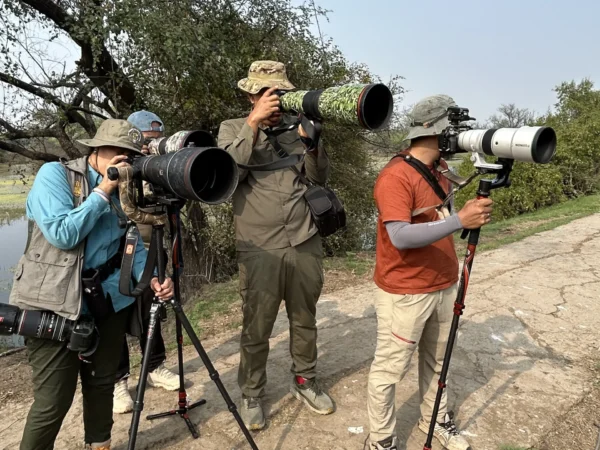 6 Day Golden Triangle Tour with Ranthambore Tiger Safari