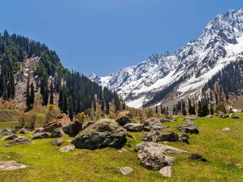 Sonmarg