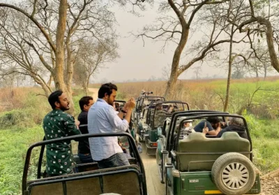 2 Days Ranthambore Tiger Safari from Agra with Jaipur Drop