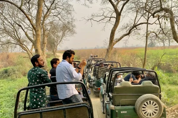 2 Days Ranthambore Tiger Safari from Agra with Jaipur Drop