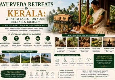 Ayurveda Retreats in Kerala: Experience Wellness Getaway