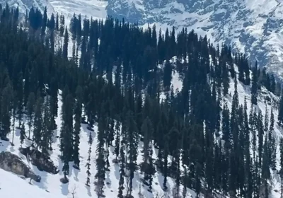 Kashmir Tour from Delhi