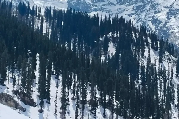 Kashmir Tour from Delhi