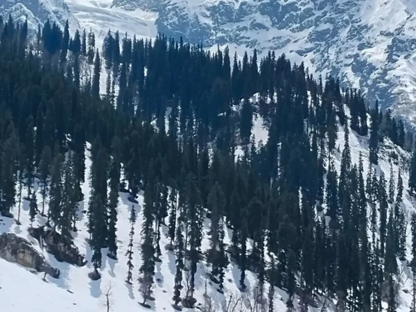 Kashmir Tour from Delhi