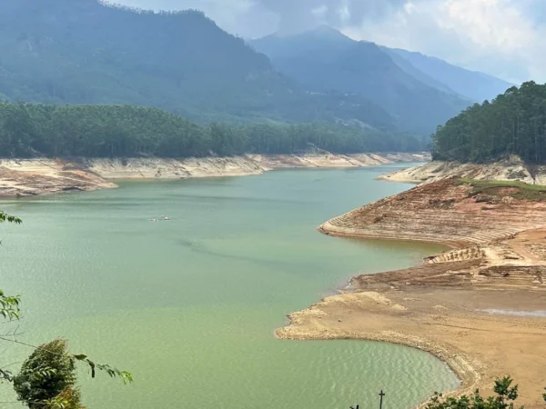 Kerala Tour Package 5 Days — Munnar, Thekkady & Alleppey
