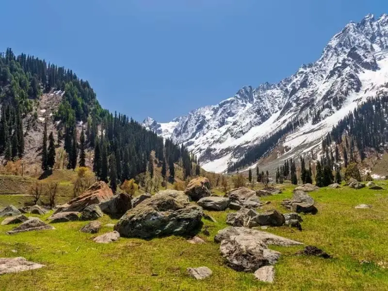 Sonmarg