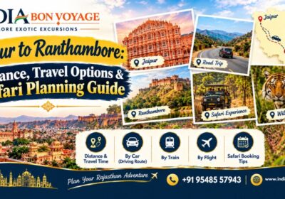 Jaipur to Ranthambore: Distance, Travel Options & Safari Planning Guide