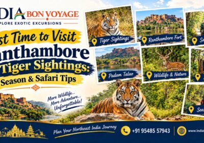 Best Time to Visit Ranthambore for Tiger Sightings: Season & Safari Tips